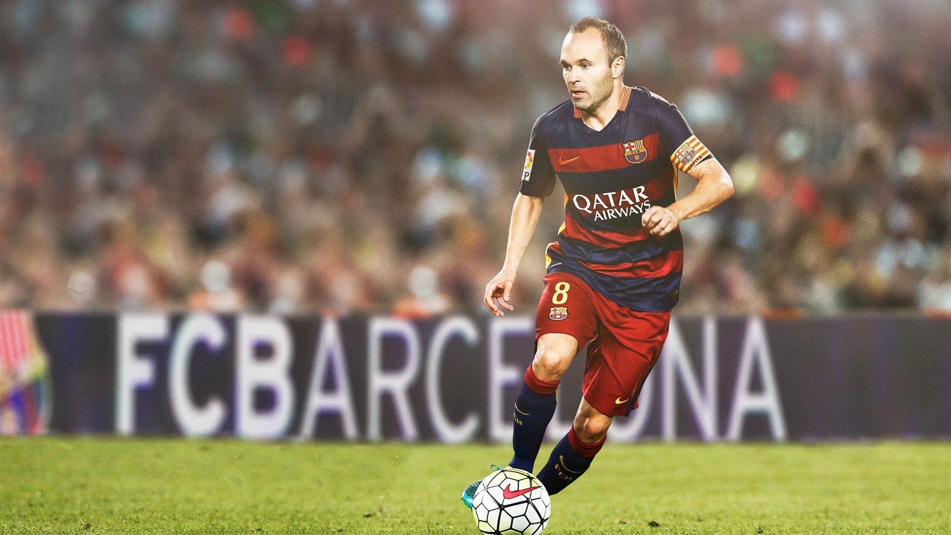 运动营养指导纳入专业教练日常课程体系，运动营养与指导